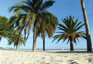 Majorca holiday beaches